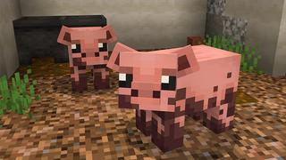 Screenshot from the Minecraft Bedrock DLC Cute Farm