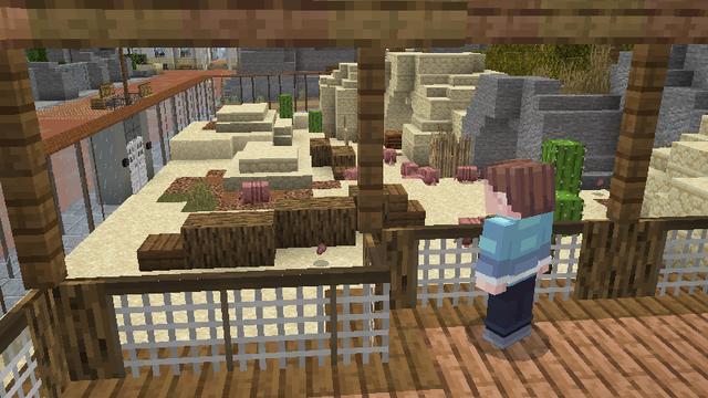 Screenshot from the Minecraft Bedrock DLC The Empty Zoo